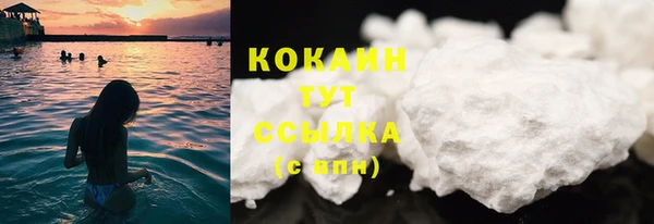 соль курить ск Новодвинск