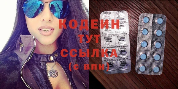 ПСИЛОЦИБИНОВЫЕ ГРИБЫ Ельня